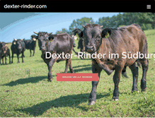 Tablet Screenshot of dexter-rinder.com